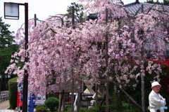 LEN_4761