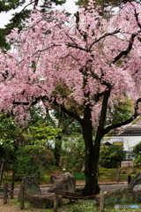 名古屋城