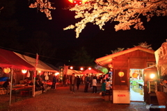 大野ダム桜まつり