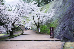LEN_3947