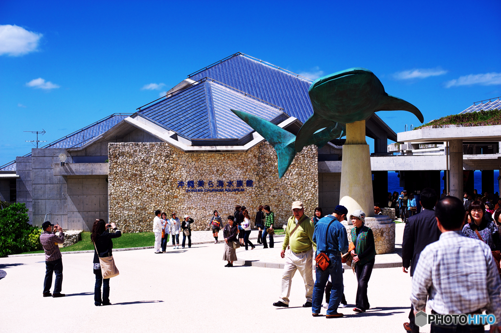 美ら海水族館