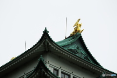 名古屋城