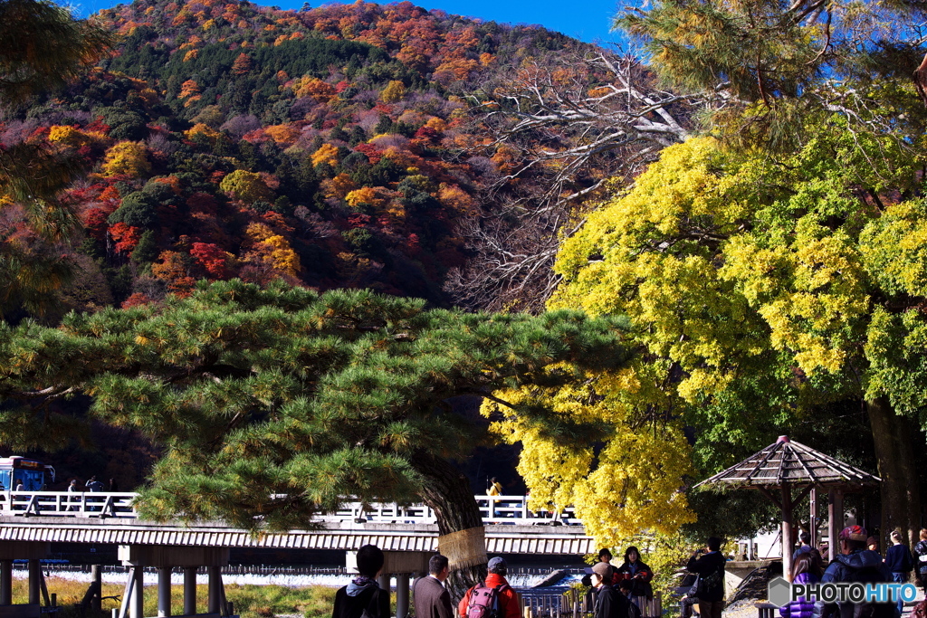 嵐山紅葉