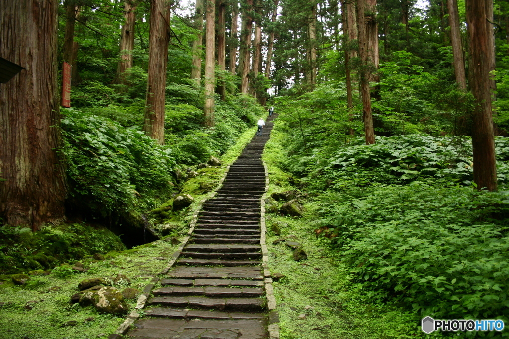 羽黒山ﾄﾚｯｷﾝｸﾞ