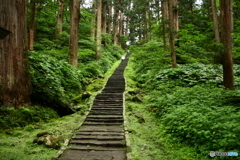 羽黒山ﾄﾚｯｷﾝｸﾞ