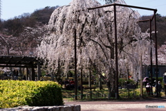 4K5A0880