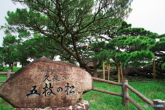 LEN_2493