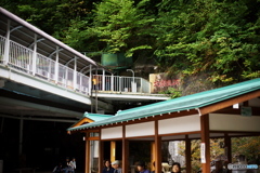 飛騨大鐘乳銅_2009-09-22_0269