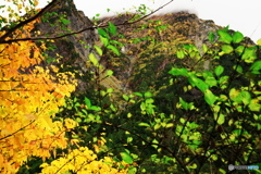 LEN_1932