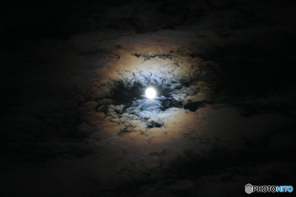 やぶっちゃランド