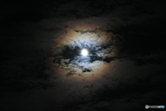 やぶっちゃランド