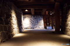 LEN_3949