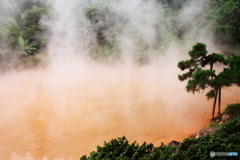 別府地獄めぐり