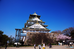 大阪城桜