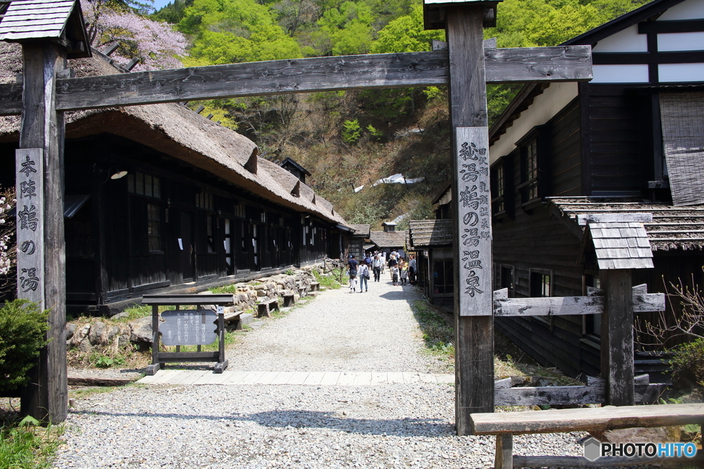 NIS_3531