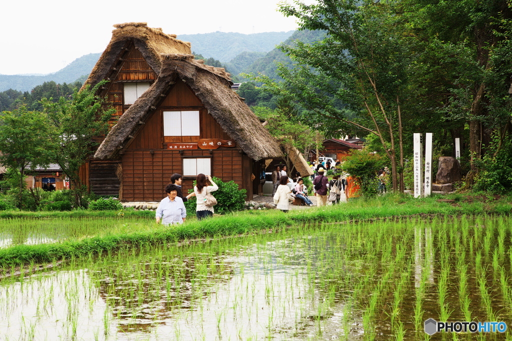 白川郷