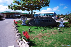 LEN_2317