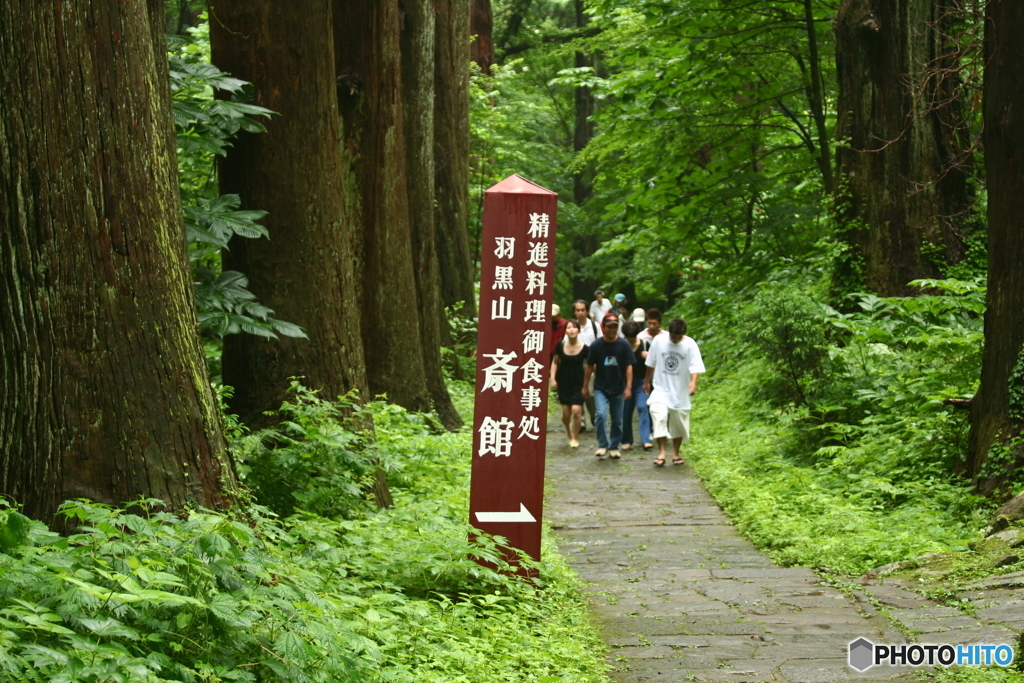 羽黒山ﾄﾚｯｷﾝｸﾞ