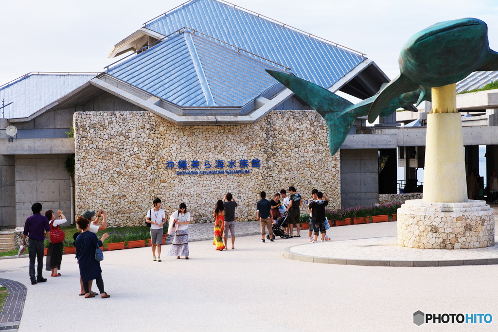 美ら海水族館