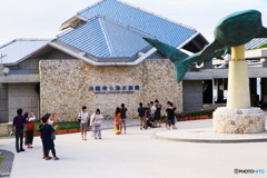 美ら海水族館