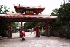 LEN_2905