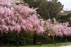 名古屋城