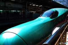 4K5A1526