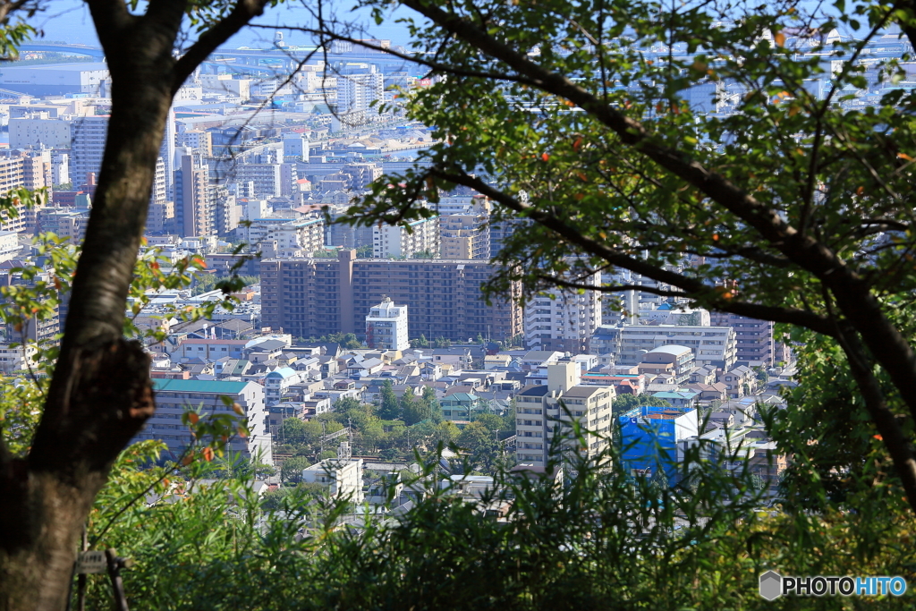 ロックガーデン