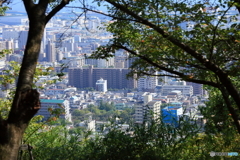 ロックガーデン