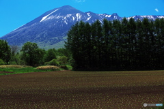 八幡平4K5A2378