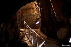 飛騨大鐘乳銅_2009-09-22_0238