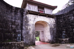 LEN_2919