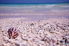 LEN_2641