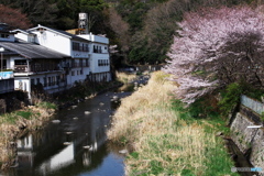 4K5A0906