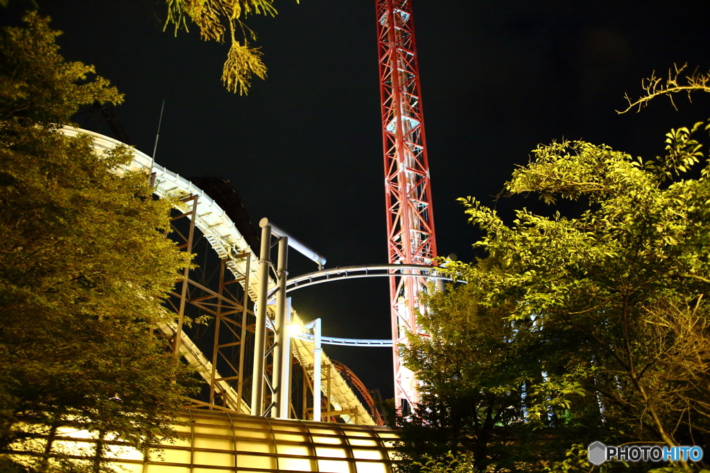 NIS_0745