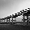 雨の蓬莱橋
