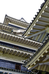 松本城を見上げる