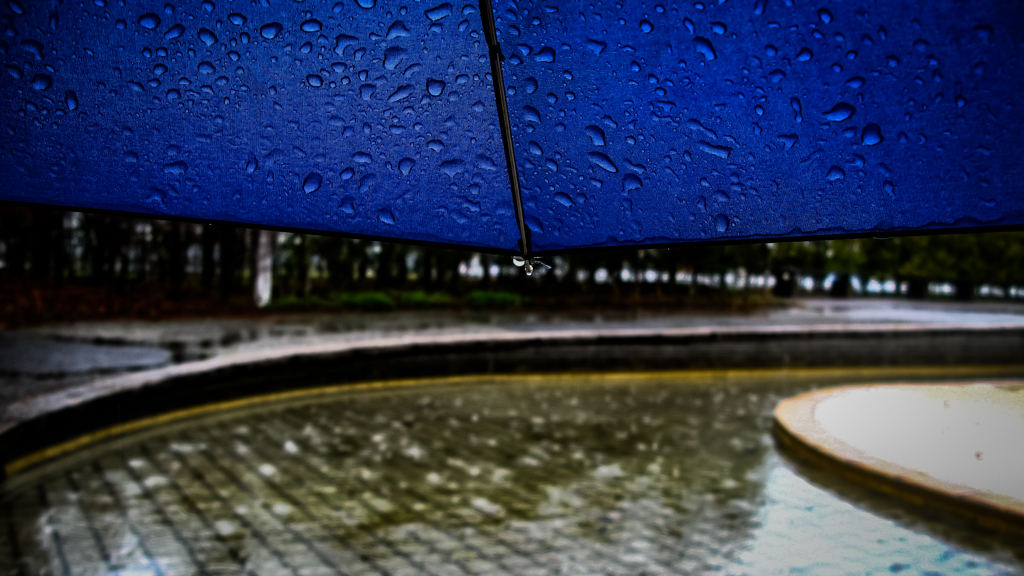 今日も雨...
