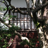 建仁寺の庭（光と影）