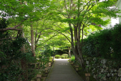 大原の参道