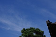 飛行機雲（建仁寺）