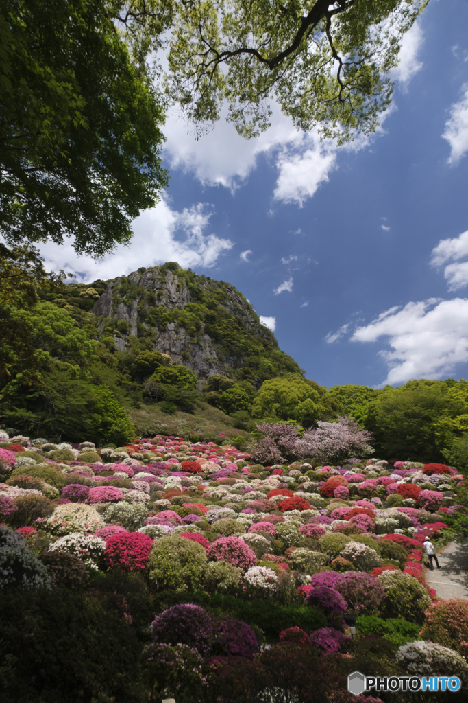 B4B303BF-399D-48C8-972F-BE7093291A81