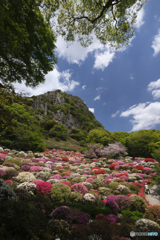 B4B303BF-399D-48C8-972F-BE7093291A81