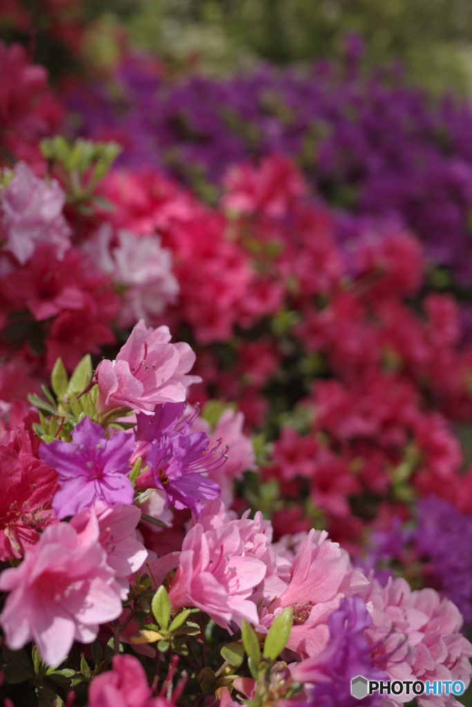 B22F2EEA-E008-4432-AF2F-62BDECD413C1