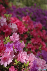 B22F2EEA-E008-4432-AF2F-62BDECD413C1