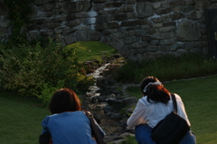 いい一枚が撮れるといいね