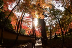 広島県三原市 佛通寺 紅葉