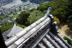 見下ろす