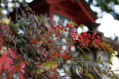 鬼門