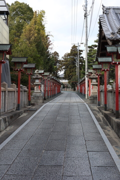 今年も残すところあと僅か
